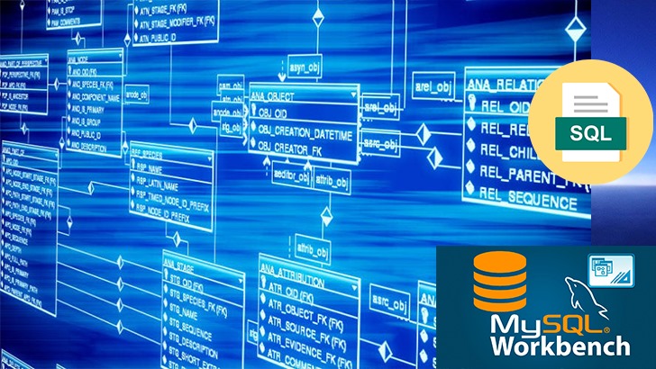 Database Design and Management Course